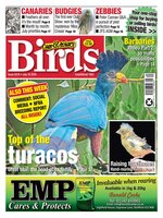 Cage & Aviary Birds